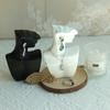 1pc Resin Side Face Mannequin Jewelry Display Stand Head Bust Portrait Necklace BraceletS Earrings Jewellery Storage Rack Holder