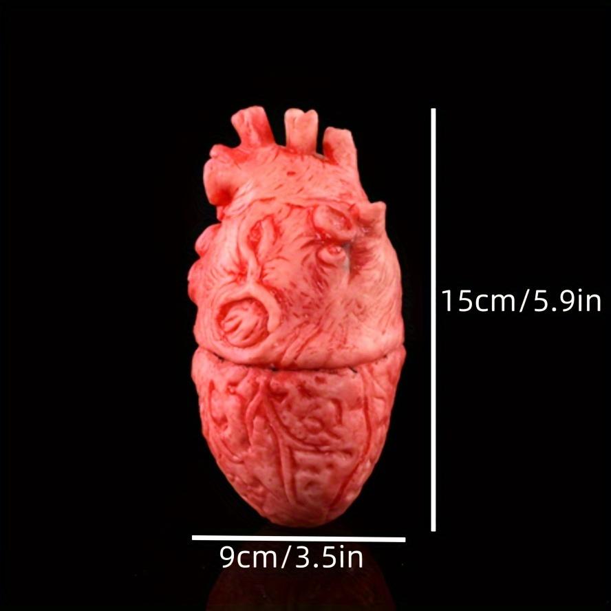 قطعة واحدة زينة الهالوين زينة أطراف بيولوجية بشرية دماغ قلب مكسور هالوين زينة أجواء الهالوين