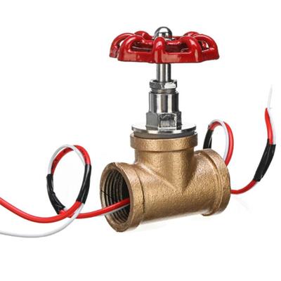 3/4 Zoll Absperrventil Lichtschalter mit Draht Vintage Steampunk Lampe Eisenventil Wasserrohr Armaturen