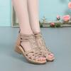 Women Sandals Wedges 2026 New Summer Comfortable Hollow Roman Sandals Elegant Low Heel Shoes for Women Fashion