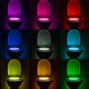 8-Color LED Motion Sensing Automatic Toilet Bowl Night Light KTY