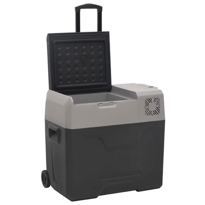 VidaXL Glacière avec Roue et Adaptateur, Réfrigérateur de Voiture, Glacière Électrique Randonnée Pique-nique Camping, Noir 3154637