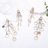 Light luxury high-end metal long leaves round splicing fringed earrings temperament cold holiday banquet women