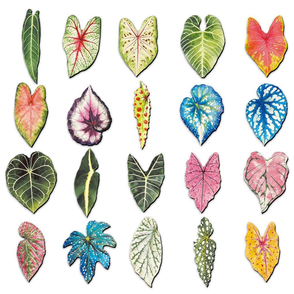 20-Pack Colorful Caladium Leaf Magnets: Waterproof Decorative Fridge Stickers