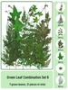 Handmade Transparent Bottle Embossing Film for Spring Plant Specimen Bookmarks