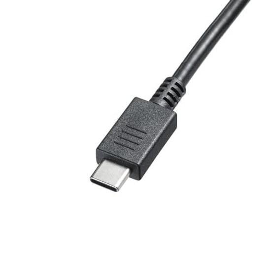 Sanwa Supply USB Charger ACA-PD94BK