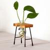 Heart Shape Glass Hydroponic Vase Flower Plant Pot Wooden Tray Desk Decoration