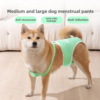 Hund Physiologische Hose Hündin Tante Hose Mittelgroßer Großer Hund Shiba Inu Corgi Damenbinde Menstruation Sicherheit Anti-Paarungskleidung