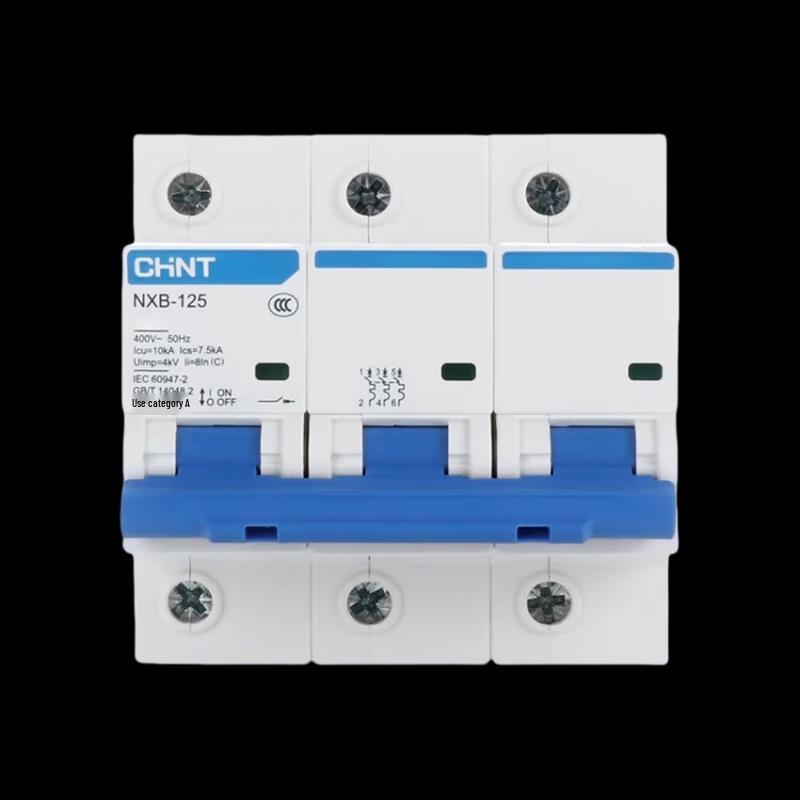 CHINT NXB-125 Miniature Circuit Breaker