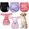 Pannolino Lavabile per Cani Femmina Pantaloncino Fisiologico Regolabile per Animali Domestici Mutandine Pannolino Riutilizzabili a Prova di Perdita per Cani Piccoli Medi Grandi