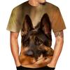 German Shepherd Dog Rottweiler T-Shirts Animal 3D Printed Streetwear Fashion Men's T-shirts