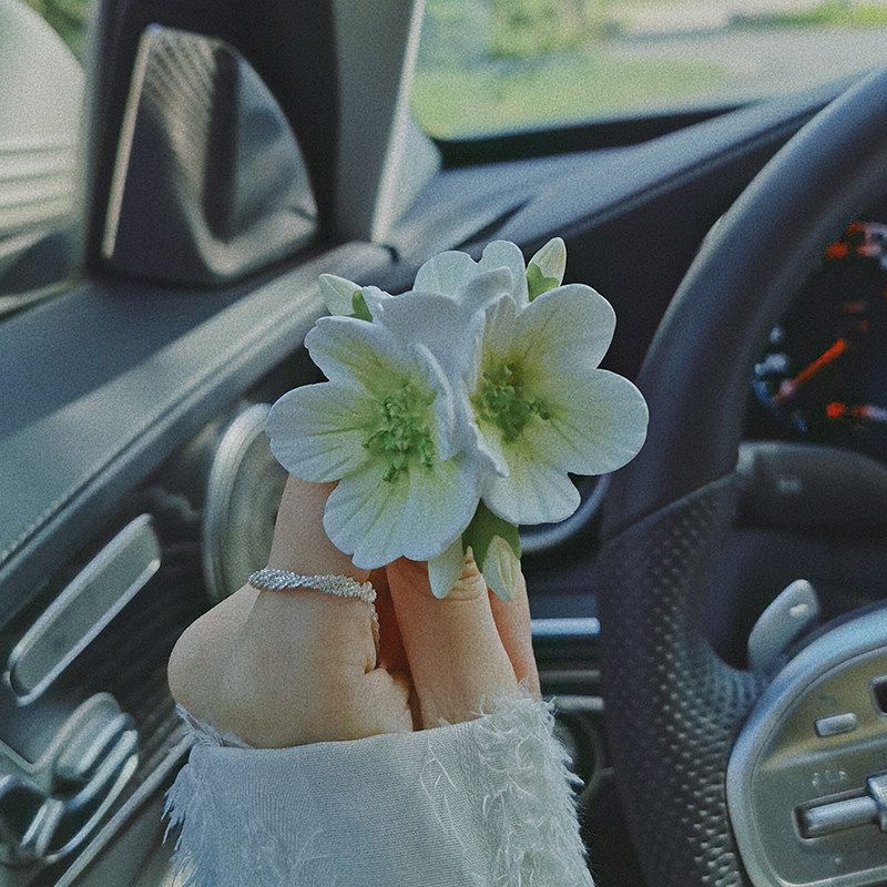 

Auto Perfume Aromatherapy Cherry Blossom Peach Blossom Air Outlet Decoration Fragrance Air Conditioner Fragrant Stone Suitable for Mercedes-Benz Tesla Cool Green Peach Blossom