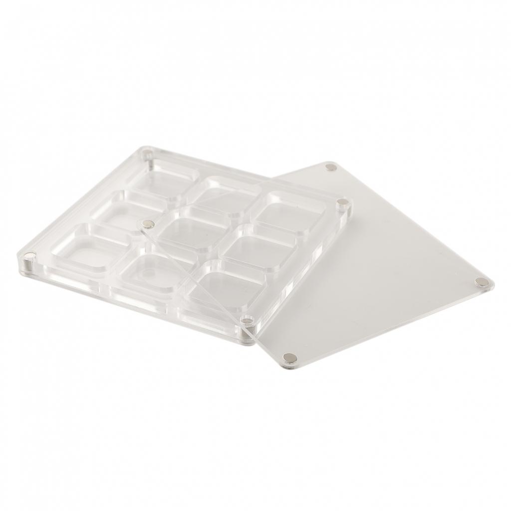 Transparent Mini Shell Storage Solution in Acrylic Material