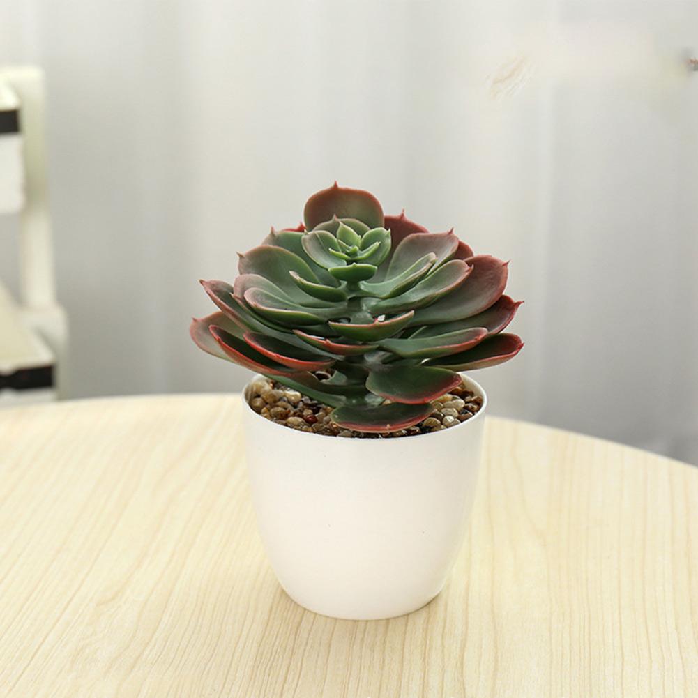 

Искусственные растения в богемном стиле Искусственные растения Искусственный сад