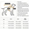 Winter Dog Clothes Chihuahua Soft Puppy Kitten Kitten High Collar Solid Color Design Sweater Fashion Clothing for Pet Dogs Cats