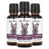 CocoCare 100% Lavender Oil 30ml 3 pcs Aroma Relaxing Oil