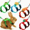 Rabbit Cat Harness And Leash Set Adjustable Harnesses For Bunny Kitten Hedgehogs Pet Outdoor Walking Supplies Accessories