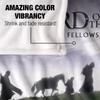 LORD OF THE RINGS Fellowship Silhouette Decke
