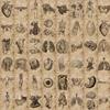 56 Human Bone Diagrams Graffiti Stickers Can Decorate Suitcase Pen Guitar Notebook Waterproof Explosive