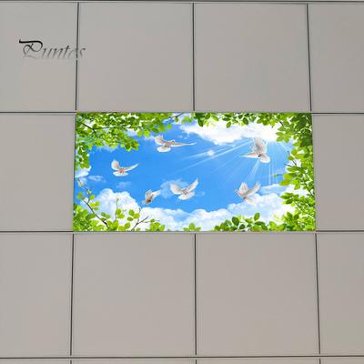 Tieniaca tkanina Krajina vzor Stropný kryt svetla Jednoduchá inštalácia magnetického krytu svetla pre vnútorné prostredie