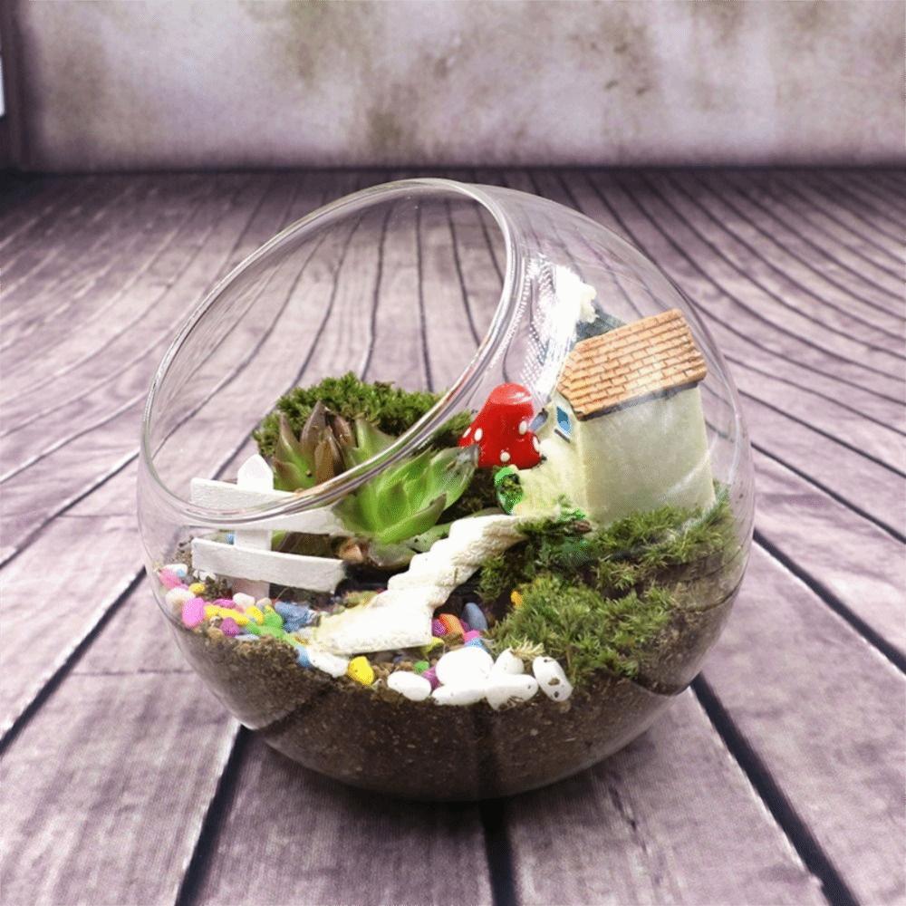 Oblique Clear Glass Ball Vase Transparent Plant Terrarium Succulents Plant Container  Home Decor