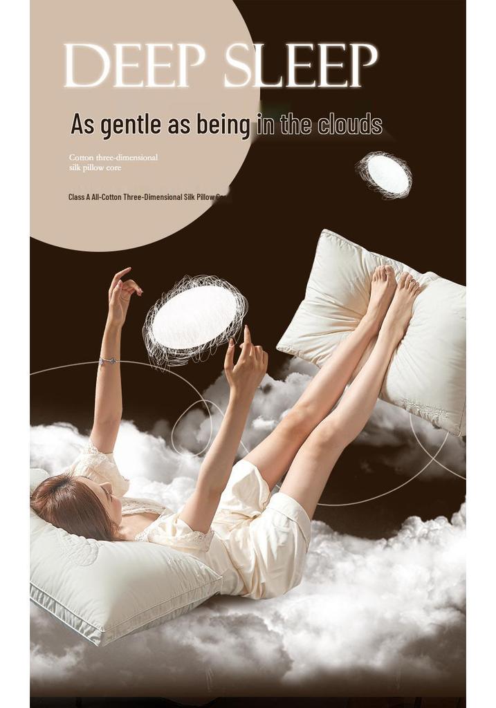 Luxury Silk & Cotton Neck Support Pillow Pair for Home Use