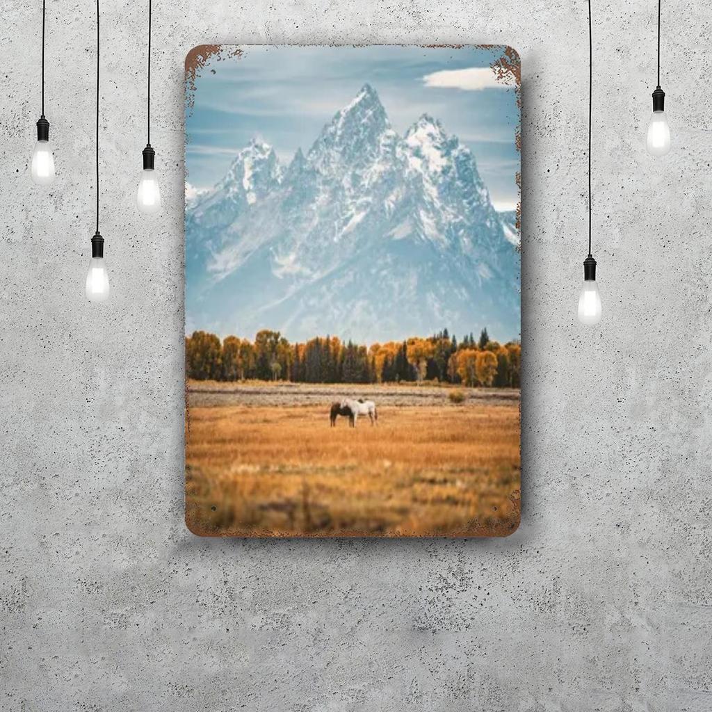 grand teton national park Funny Bar Metal Sign Retro Plaque Vintage Sign Alcohol Drinker Pub Club Kitchen Wall Decoration
