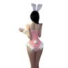 Sex Underwear, Sexy Pink Cute Bunny Girl Suit, Dead Tank Water Onesie Free-to-open File
