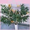 Decorațiuni pentru casă – Flori decorative şi coroane de flori