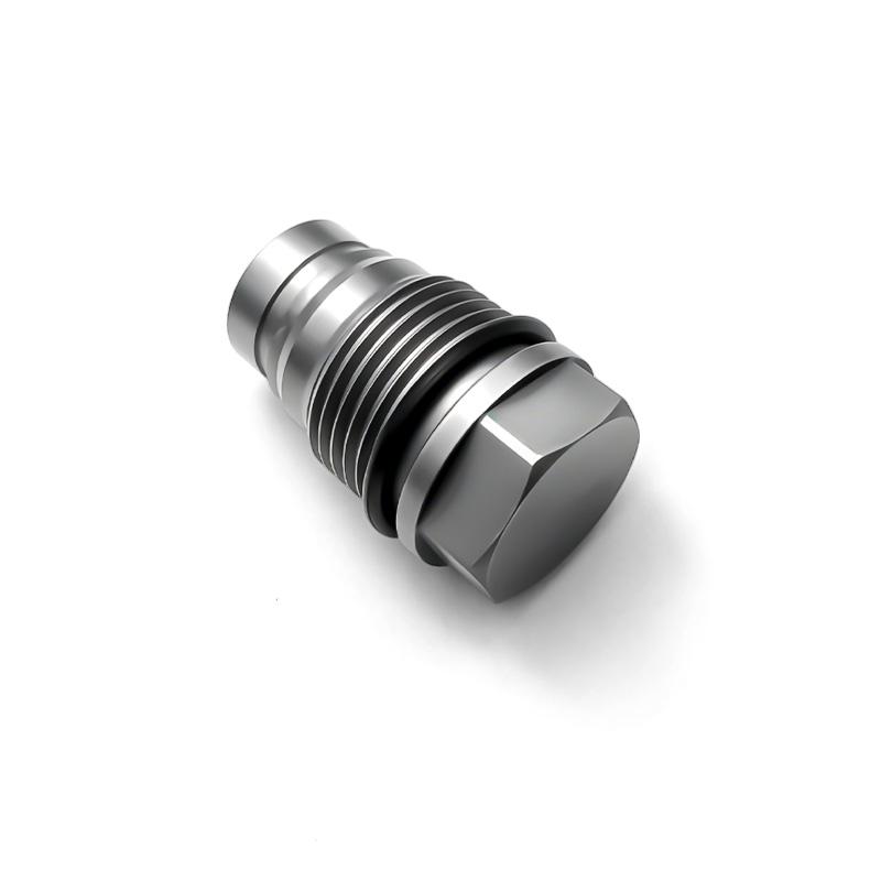 Fuel Common Pressure Limited Valve 1110010015 1110010028 F00R001166 For Bo-sch Injector Pump Diese YE2733