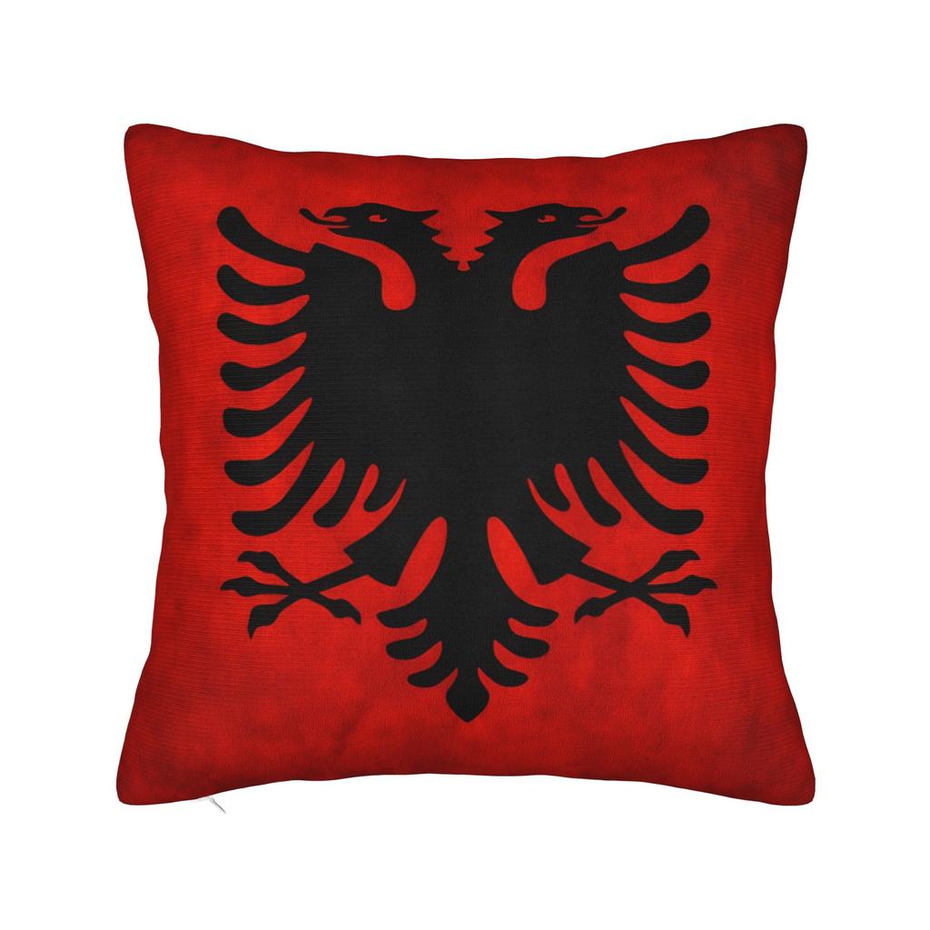 Argentina  Argentinian Flag  National Flag Of Argentina  Pillow Case Pillow Cover For Office Car Home Decor Novelty Pillowcases