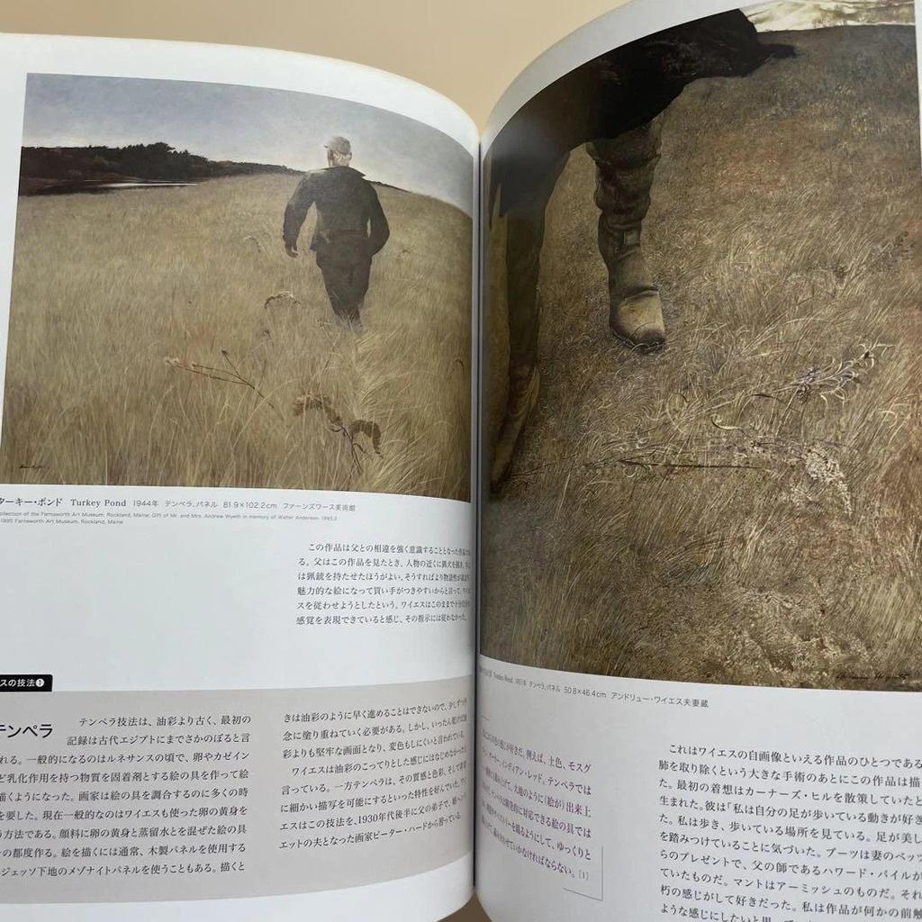[USED] Andrew Wyeth Collection