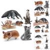 Realistic Forest Animal Models Set Including Hamster Snail Sugar Glider Mouse Meerkat Anteater For Kids Educational Playtime Fun