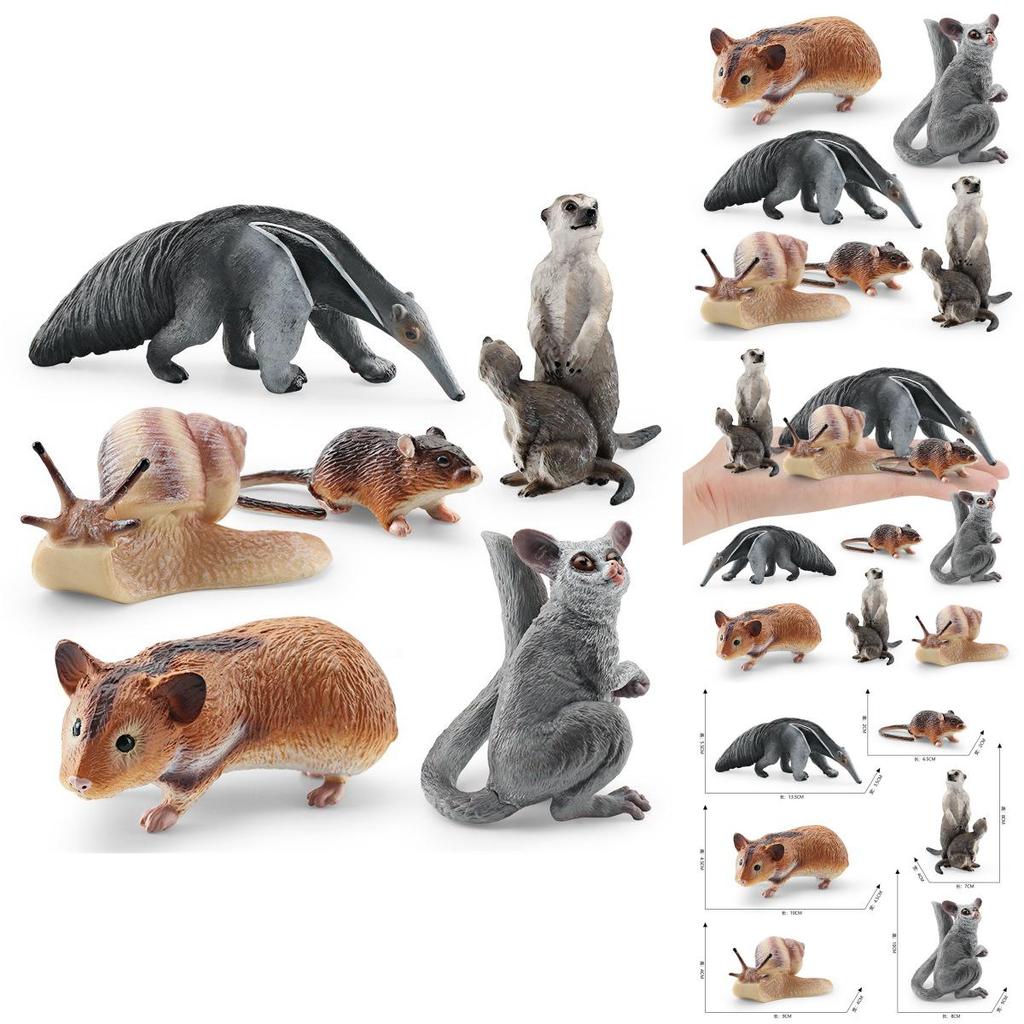 Realistic Forest Animal Models Set Including Hamster Snail Sugar Glider Mouse Meerkat Anteater For Kids Educational Playtime Fun