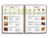 The Natural Healing Handbook - Simple Recipes & Remedies for Every Condition