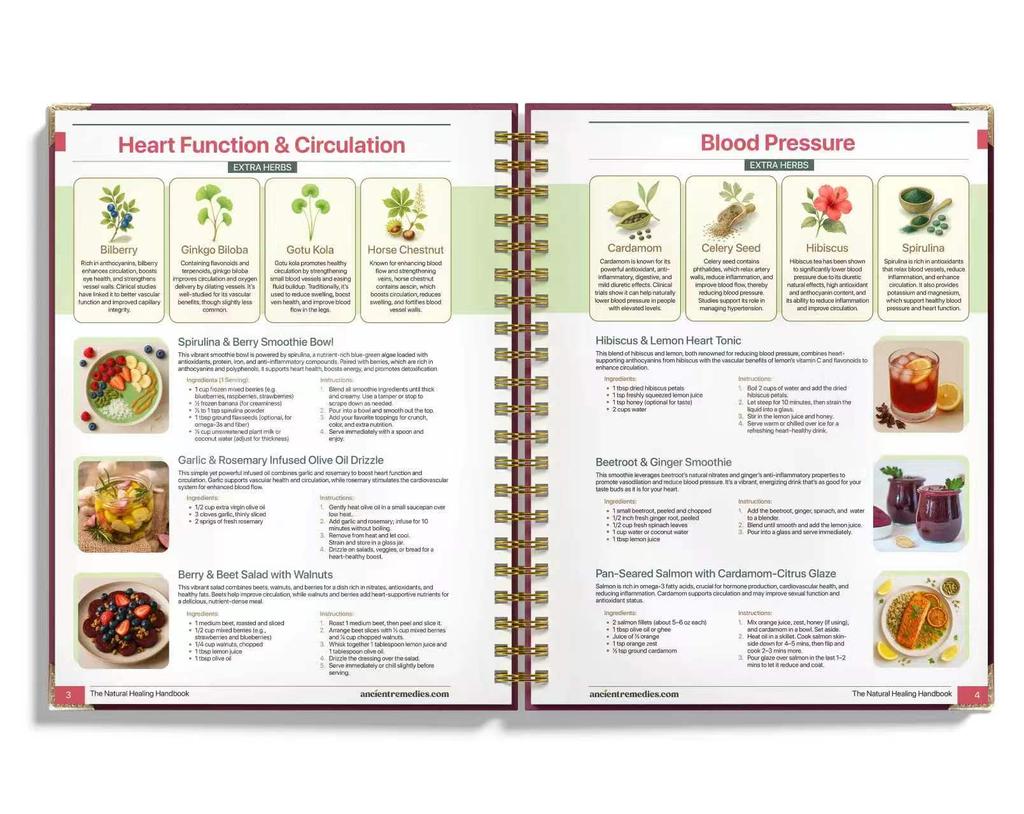 The Natural Healing Handbook - Simple Recipes & Remedies for Every Condition