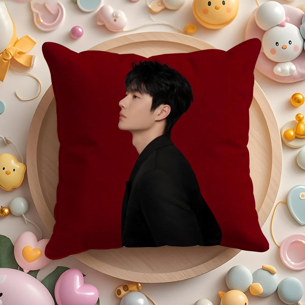 W-Wang Y-Yibo Pillow Case Soft Plush Fabric Double-Sided Printed Cushion Cover Warm Winter Sofa Pillow Case