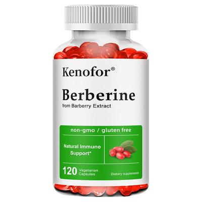 Berbérine HCL 500mg 120 Gélules Végétariennes Complément Alimentaire