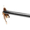 Long Terrarium Tweezers Straight For Feeding Reptiles Amphibians 20cm