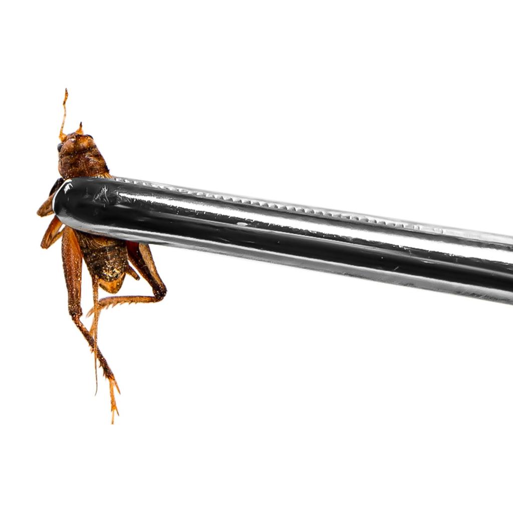 Long Terrarium Tweezers Straight For Feeding Reptiles Amphibians 20cm