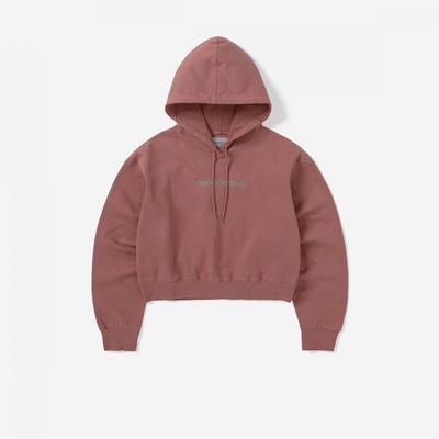 T Logo W Hoodie Tn243TsWho06