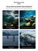 Anti-Water-Flow Luminous Float Rod Tip Cord with Eye-Catching Bean for Mèn Gān Fishing Method