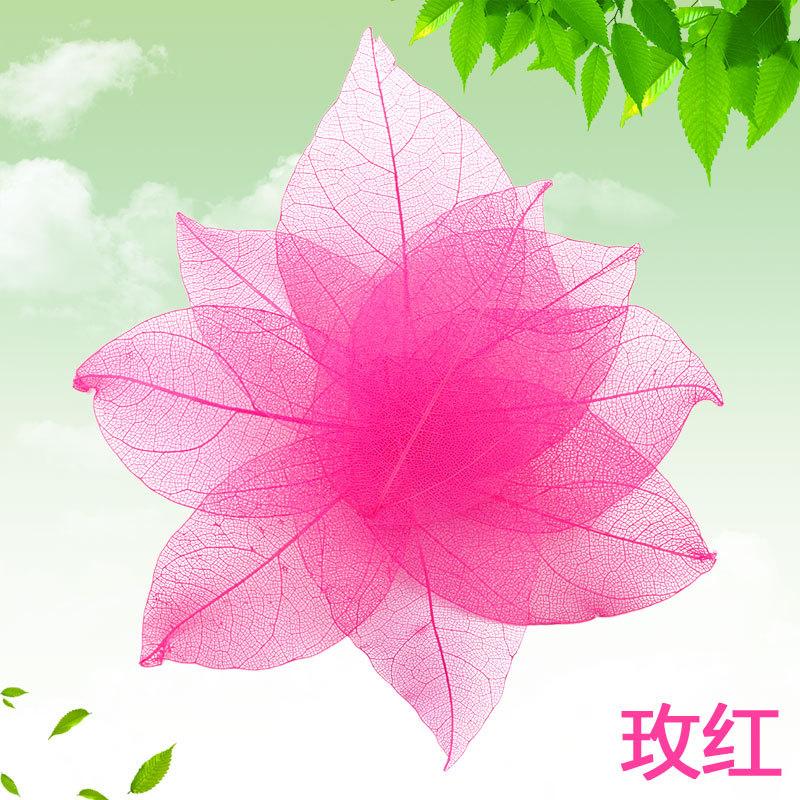 Dried Flowers Natural Skeleton Leaf Vein DIY Handmade Materials Nail Art Flowers Material for Wedding Party Home Decor-20/24pcs
