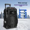 Newmine N509 Portable Karaoke Bluetooth Speaker (CN version)