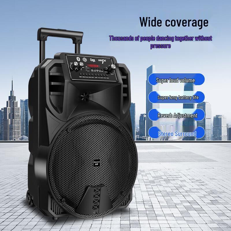 Newmine N509 Portable Karaoke Bluetooth Speaker (CN version)