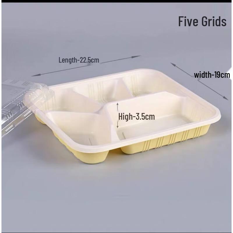 Divided Disposable Plastic Takeout Boxes