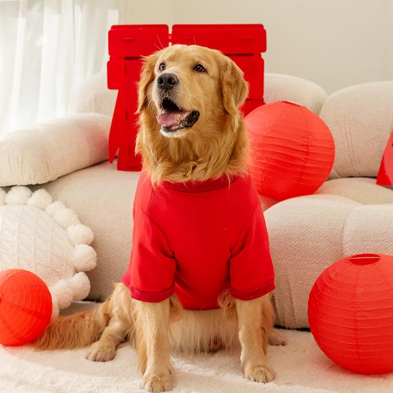 Big Dog New Year's Lion Dance Festive Chinese New Year Golden Retriever Edge Herding Medium and Large Dog Two-legged Warm Sweater Pet Dog Clothes
