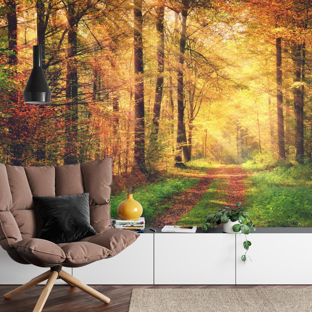Photomural Forest Autumn Colors Self-Adhesive Mural 180x120