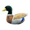Simulation Cole Duck Plush Toy - Green Cole Duck Realistic Stuffed Animal Soft Stuffed Animal 12 Inch Realistic PP Cotton Gift for Boys and Girls