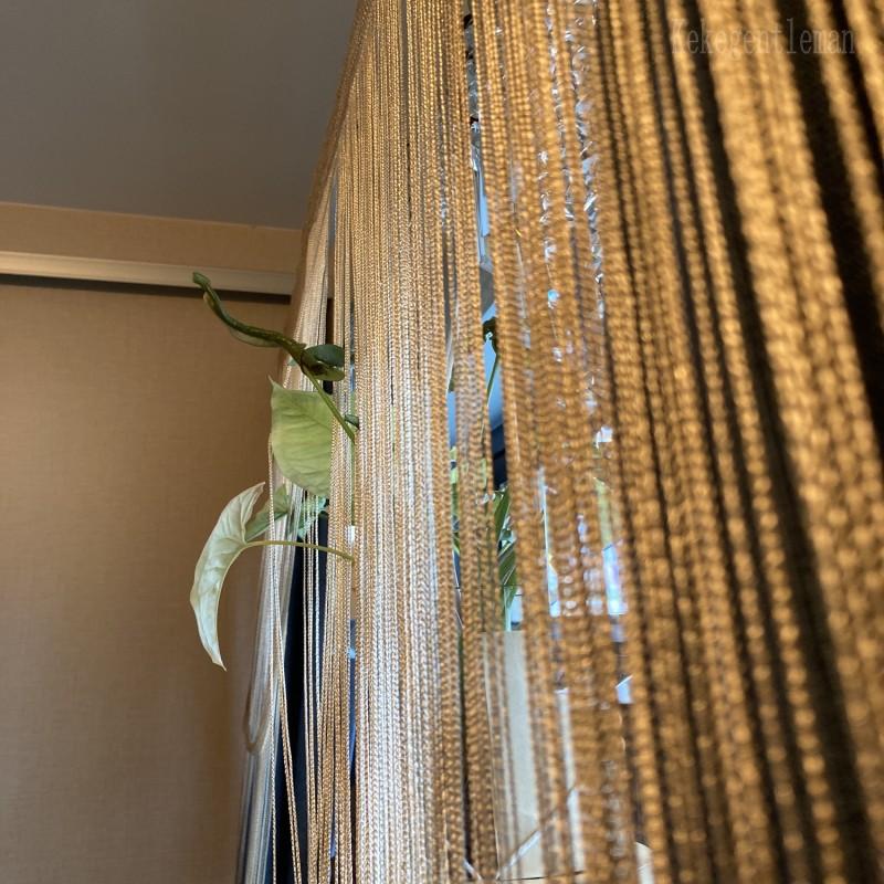 300x300cm Fadenvorhänge Sichtschutz Band Schnur Raumteiler Jalousie für Wohnzimmer Tür Wand Fensterpaneel Quasten Vorhang